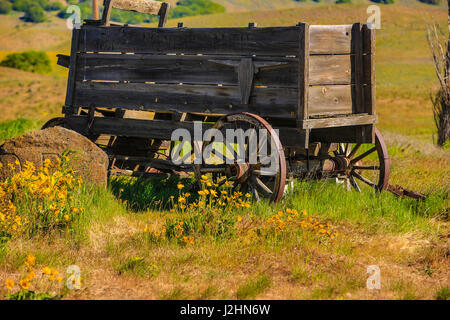 Columbia Hills State Park, Dallesport, Washington State. Wooden Wagon and Arrowleaf Balsamroot Wildflowers Stock Photo