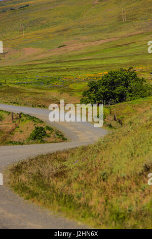 Columbia Hills, State Park, Dallesport, Washington State. Curved road winds through rolling hills and wildflowers Stock Photo