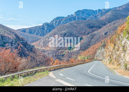 Burnt mountain side in the Tradouw Pass between Barrydale and Swellendam in the Western Cape Province Stock Photo