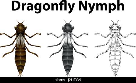 Dragonfly nymph in three different drawing styles illustration Stock Vector