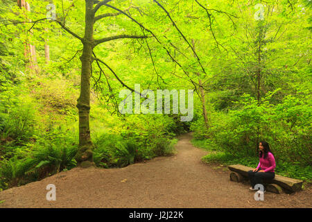Woman, Schmitz Preserve Park, 53 acre old growth forest in West Seattle, WA, USA (MR) Stock Photo