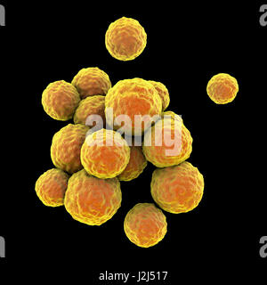 MRSA bacteria. Computer artwork of methicillin-resistant Staphylococcus aureus (MRSA) bacteria. Stock Photo