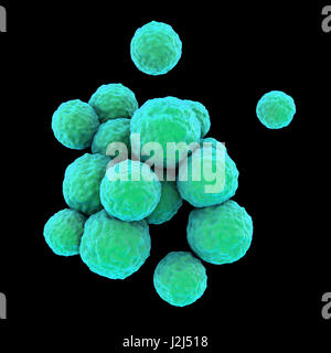 MRSA bacteria. Computer artwork of methicillin-resistant Staphylococcus aureus (MRSA) bacteria. Stock Photo