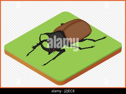 beetle vector eps Stock Vector