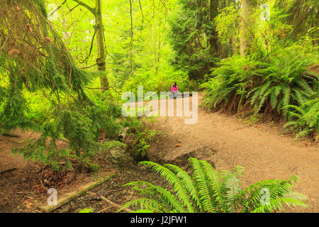 Woman, Schmitz Preserve Park, 53 acre Old Growth Forest in West Seattle, Washington State, USA (MR) Stock Photo