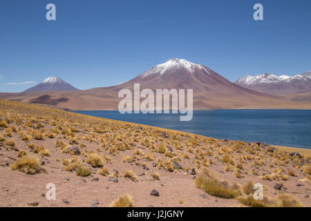 Lake Miscanti (Laguna Miscanti) a brackish water lake at over 4000 metres altitude in the altiplano in Los Flamencos National Reserve, Chile Stock Photo
