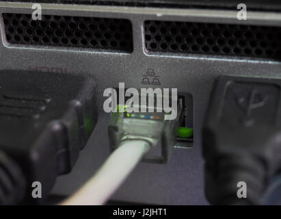 the network cables connected in network switches. Stock Photo