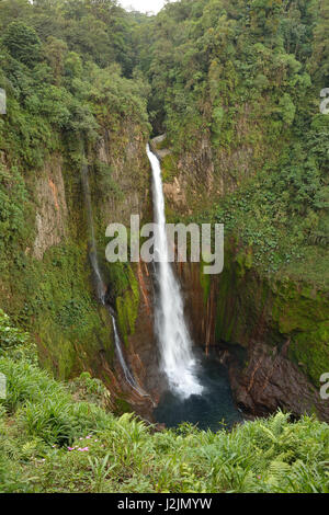 Toro waterfall in the cloud forest of Bajos Del Toro Costa Rica near ...