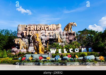 SRIRACHA, THAILAND - NOVEMBER 27 Sriracha Tiger Zoo. Tiger Zoo  on November 27, 2013 in Sriracha, Thailand Stock Photo