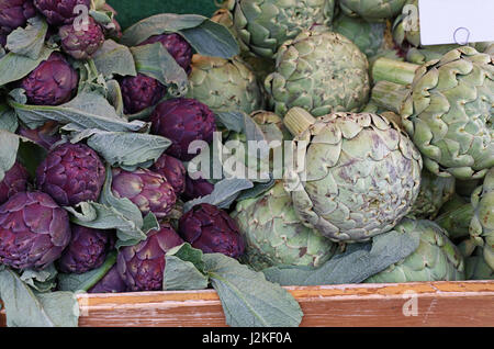 Green and purple fresh globe artichokes in wooden box on retail market display, low angle view Stock Photo