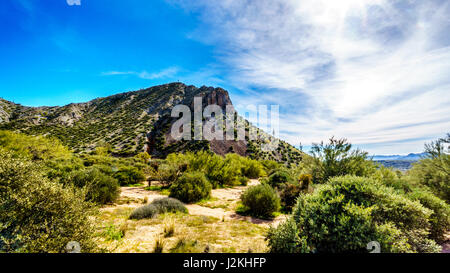 Beautiful desert landscape in Tonto National Forest with easy hiking trails under the blue skies of the Arizona desert. Stock Photo