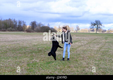 Energetic dog jumping for a stick held by his young woman owner leaping midair as she holds it up in her hand while playing fetch together in a rural  Stock Photo