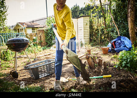 Young mixed race boy digging in a British allotment Stock Photo