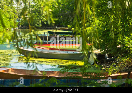 Colorful old fisherman boats in shadow at Danube river in Serbia Stock Photo