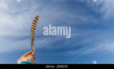 Hand holding bird feather in hand Stock Photo