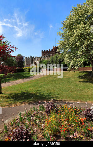 Summer, Castle Gardens, Hertford Castle, Hertford town, Hertfordshire County, England, UK Stock Photo