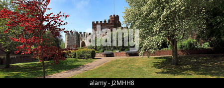 Spring, June, May, Castle Gardens, Hertford town, Hertfordshire, England Stock Photo