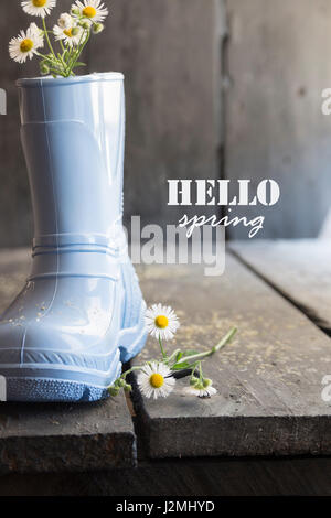 Daisy and boots on a vintage background and text hello autumn Stock Photo