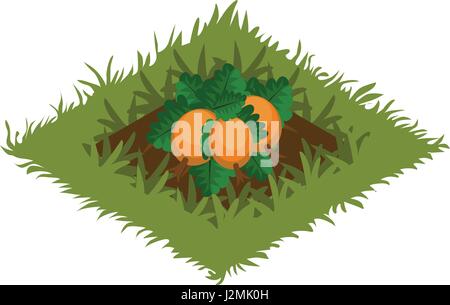 Isometric Cartoon Vegetable Garden Bed Planted with Pumpkin - Elements for Tileset Map Stock Vector