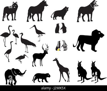 Set Of Wolf Silhouettes Isolated On A White Background, Vector 