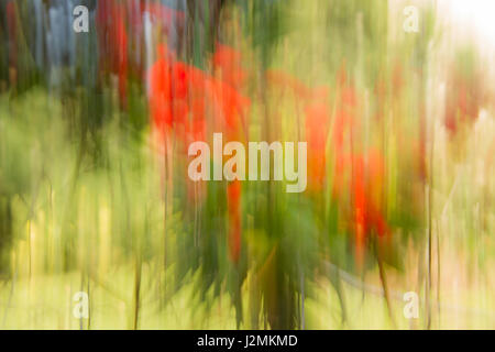 Photographic Abstraction with a modern twist Stock Photo