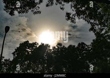 dramatic sun rays through dark sky, with filter Stock Photo