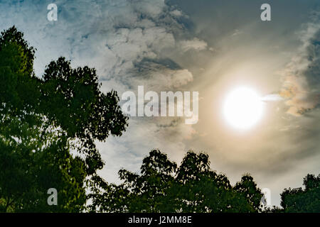 dramatic sun rays through dark sky, with filter Stock Photo