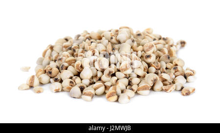 Millet rice , millet grains isolated on white background. Stock Photo