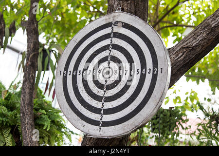 Old dart board hanging on a tree, showing sign of well used Stock Photo