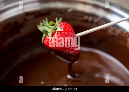 Dipping fresh strawberries in dark chocolate Stock Photo