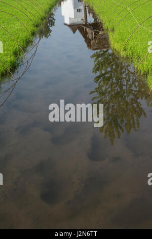 Reflection of modern and traditional architecture on rice farm water. Stock Photo