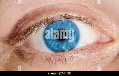 Pretty blue eyes. Macro of a human blue eye of a caucasian male. Stock Photo