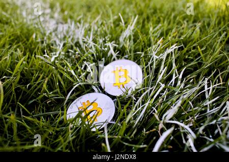 Cryptocurrency physical two silver bitcoin coins in grass on the spring. Stock Photo