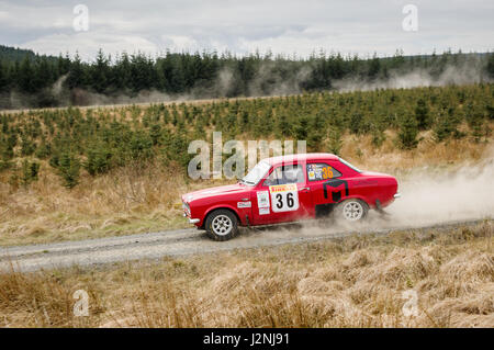 Wark, UK - 29th April, 2017: Rally car taking part in the Pirelli International Rally 2017 (Historic Section).  Driver Josh Carr and Co-Driver Ben Hall in a FordEscort Mk1 RS2000. Stock Photo