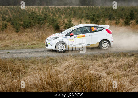 Wark, UK - 29th April, 2017: Rally car taking part in the Pirelli International Rally 2017 (BRC Section).  Driver Tom Williams and Co-Driver Bryan Hullin a Ford Fiesta.  Credit: ColobusYeti/Alamy Live News. Stock Photo