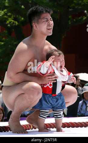 Babies held by an amateur sumo wrestler cry during the 