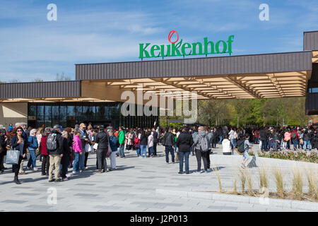 Lisse, The Netherlands. 30th Apr, 2017. The new entrance building of the keukenhof spring garden was opened in March 2017. The famous garden has many flowers. Over one million visitors every year. Credit: Marcel van den Bos/Alamy Live News Stock Photo