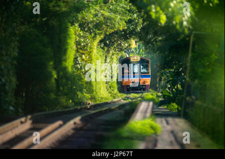 Image of blurry train running through natural tunnel tree on iron steel in Bangkok Stock Photo