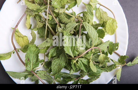 Mumbai / India  13 April 2017   Indian spices   fresh mint leaves pudina mentha  at  Mumbai India Stock Photo
