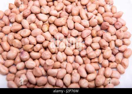 Mumbai / India  13 April 2017  The peanut  also known as the groundnut Isolated on White Background  Mumbai India Stock Photo