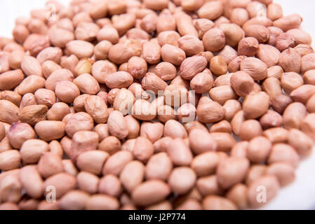Mumbai / India  13 April 2017  The peanut  also known as the groundnut Isolated on White Background  Mumbai India Stock Photo