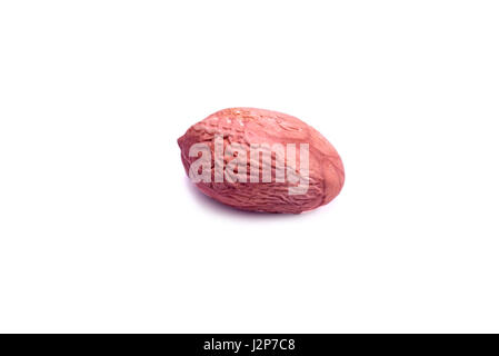 Mumbai / India  13 April 2017 Closeup of  peanut  also known as the groundnut Isolated on White Background  Mumbai India Stock Photo