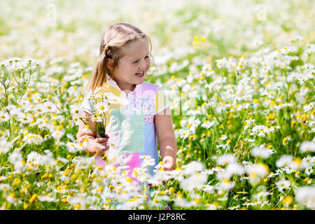 Child playing in daisy field. Girl picking fresh flowers in daisies meadow on sunny summer day. Kids play outdoors. Children explore nature. Little gi Stock Photo