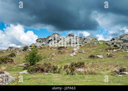 Bonehill Rocks above Widecombe in the Moor on Dartmoor Devon Stock Photo