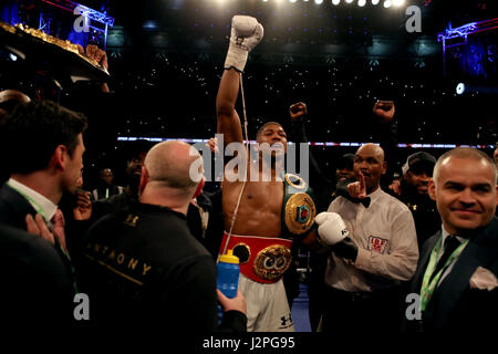 Anthony Joshua celebrates victory over Wladimir Klitschko during the IBF, WBA and IBO Heavyweight World Title bout against Anthony Joshua at Wembley Stadium, London. Stock Photo