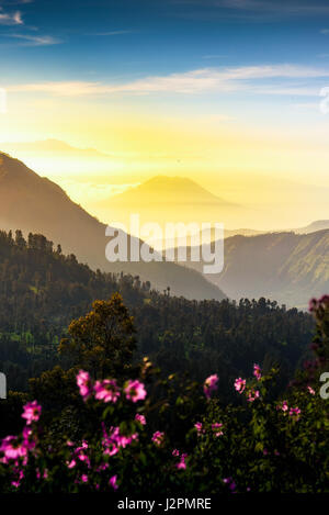 Mount. Bromo at Bromo tengger semeru national park, East Java, Indonesia bromo beautiful sunrise. Stock Photo