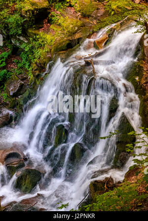 beautiful waterfall Shypot comes out of a rocky hillside in forest. spectacular landscape on mountain river view from the top. popular travel attracti Stock Photo