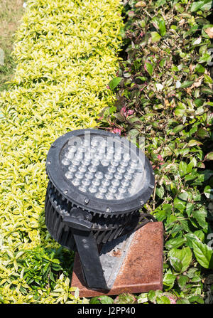 Small led lamp on the rusty base in the plant row of the public garden. Stock Photo