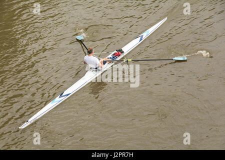 A man sculling on the River Thames in London, England, UK Stock Photo