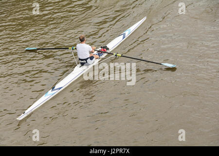 A man sculling on the River Thames in London, England, UK Stock Photo